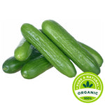 Organic Cucumber - Packet 500g