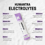 Humantra Elderberry Electrolyte Hydration Pack – Zero Sugar, 20 Servings, 90g