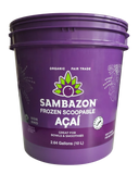 Organic Frozen Scoopable Açaí Sorbet 10L