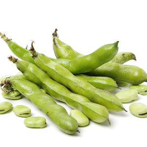 Lebanese Broad Beans (Foul) 450g — فول أخضر | Air-Flown