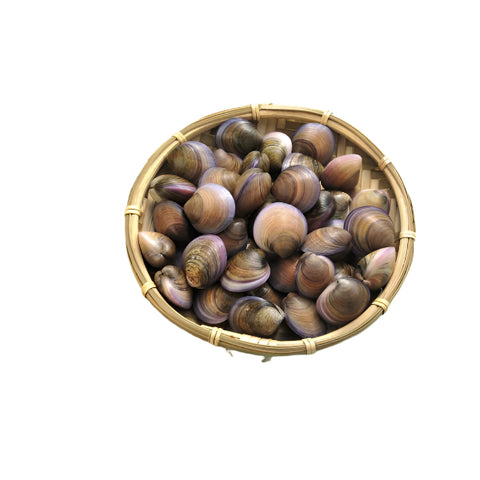 Fresh Clams (Seafish shell) 1Kg