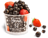 Roberts Berrie Whole 32* Crushed Blackcurrant & Strawberry 100g