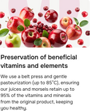 Volga Joy Cold Pressed Apple & Chokeberry Juice (No Added Sugar) 300ml