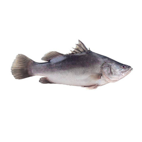 Nile Perch Whole Cleaned 500g