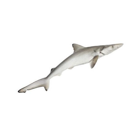 Shark / Jargoor/Yaroor - Whole Cleaned 2Kg