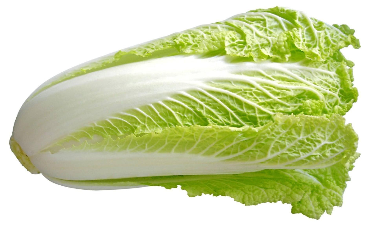 Buy Chinese Cabbage Online QualityFood UAE