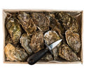 Dibba Bay Premium Oysters #1 (5 Pcs Pack ) - QualityFood