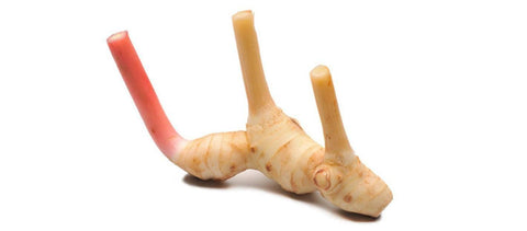 Fresh Galanga Root - QualityFood