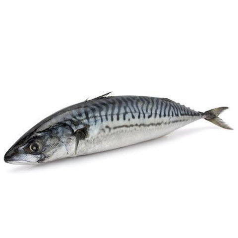 Mackerel / Ayala / Bangda / Aylai Whole Cleaned 500g - QualityFood