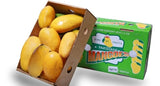 Mango Pakistani - Case - QualityFood