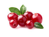 Meadows Organic Sundried Cranberries 200g - QualityFood