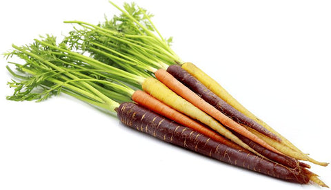 Rainbow Baby Carrot 250g - QualityFood