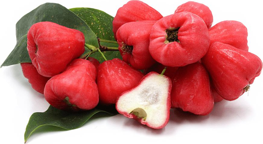 Rose apple fruit hotsell
