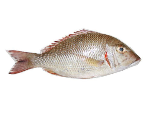 Sheri /Emperor / Eari Whole Cleaned 700g - QualityFood