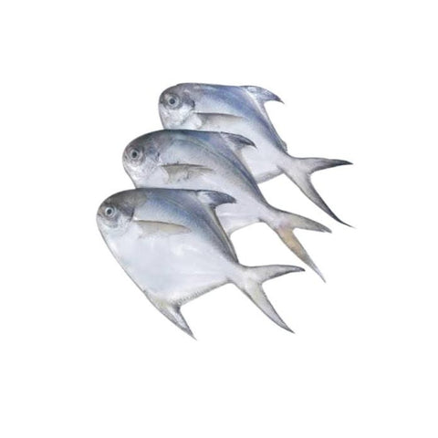 Silver Pomfret / Avoli / Zubaidi Whole Cleaned 500g - QualityFood