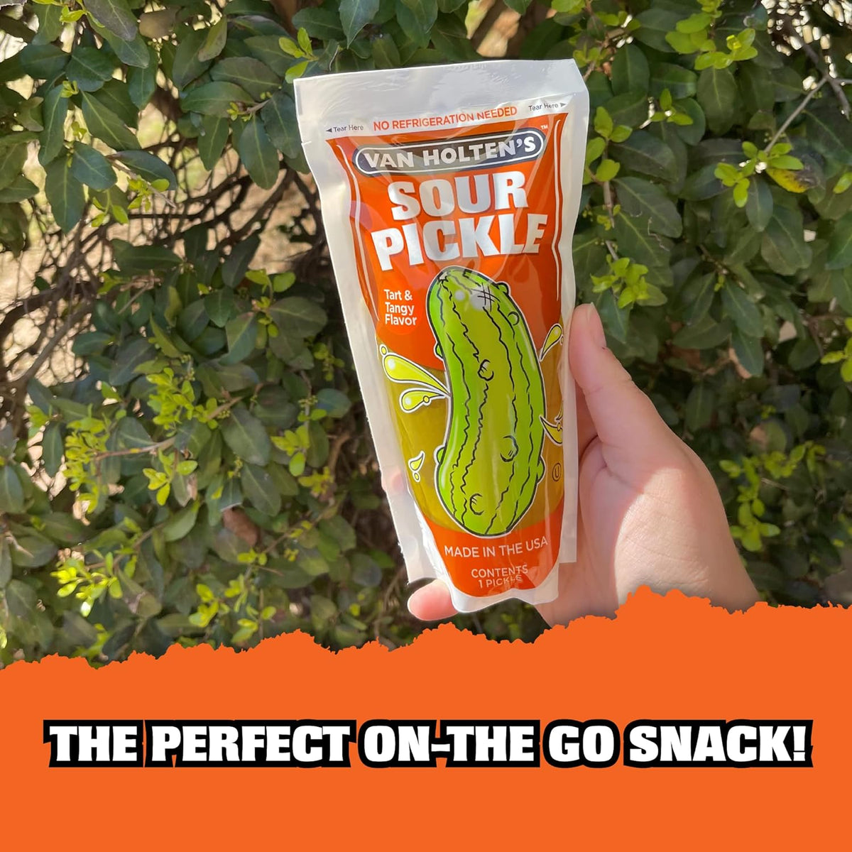 Buy Van Holten's Sour Tart & Tangy Flavor Large Cucumbe