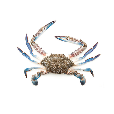 Whole Blu Crab cut & cleaned 500g - QualityFood