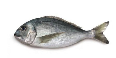 Wild Sea Bream Whole cleaned 500g - QualityFood