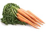 Carrots - QualityFood