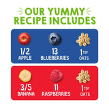 HappyBABY Organics Clearly Crafted Fruit & Oat Pouches Variety Pack, 113g (12pc) - image 7