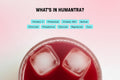Humantra Black Cherry Electrolyte Hydration Pack – Zero Sugar, 20 Servings, 72g - image 4