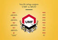 Forest Gold Manuka UMF™ 15+ Honey of New Zealand (Monofloral) - 250g - image 3