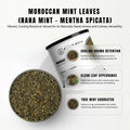 AWAFI MILL Moroccan Mint 100g | Nana Mint | Moroccan Spearmint | Mentha spicata