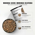 AWAFI MILL Moringa Seeds 100g | Drumstick Tree | Ben Oil Tree | Moringa oleifera