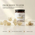 AWAFI MILL Mastic Gum 28g | Mastaki Rumi Natural Resin
