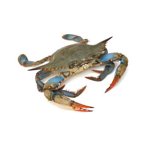 Whole Blu Crab (LARGE) Size 1Kg
