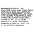 Organic Fruit Snacks- 1.09Kg (48 pk) - image 4