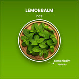 Blue Tea Lemon Balm Tea 50g - image 4