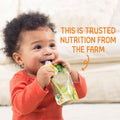 HappyBABY Organics Clearly Crafted Fruit & Oat Pouches Variety Pack, 113g (12pc) - image 6