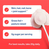 Vital Proteins Collagen Peptides Powder - Limited Edition Ice Pop, 748g (XL) - image 3