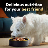 Cesar Classic Loaf in Sauce Wet Dog Food Variety Pack 100g (48pk) - image 5