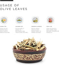 AWAFI MILL Olive Leaves Olea Europaea - 100 g | 3.5 Oz - image 2