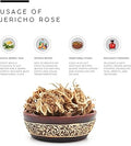 AWAFI MILL Jericho Rose | Anastatica hierochuntica - Pack of 3 - image 2