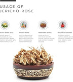 AWAFI MILL Jericho Rose | Anastatica hierochuntica - Pack of 3 - image 2