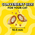 Temptations Cat Treats Variety Pack with Tasty Chicken Flavor, Catnip Fever, & Surfers' Delight - 1.36kg - image 3