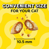Temptations Cat Treats Variety Pack with Tasty Chicken Flavor, Catnip Fever, & Surfers' Delight - 1.36kg - image 3