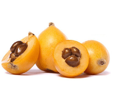Lebanese Loquat (Akidinia) 800g — أكدنيا | Air-Flown