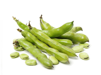 Lebanese Broad Beans (Foul) 450g — فول أخضر | Air-Flown
