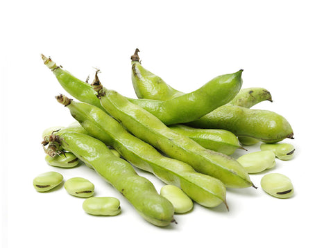 Lebanese Broad Beans (Foul) 450g — فول أخضر | Air-Flown