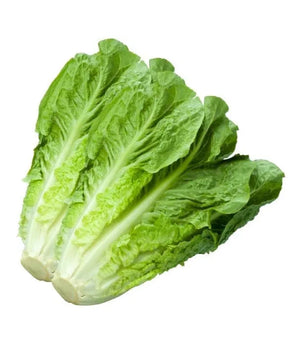 Lebanese Romaine Lettuce 700g — خس | Air-Flown