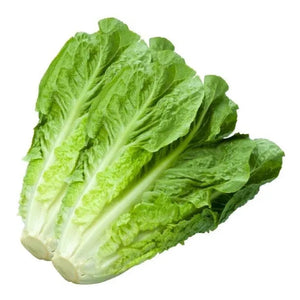 Lebanese Romaine Lettuce 700g — خس | Air-Flown
