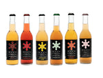 Booch Kombucha (6)Assorted Flavors 300ml Each Combo