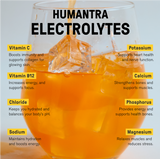 Humantra Apricot Electrolyte Hydration Pack – Zero Sugar, 20 Servings, 72g