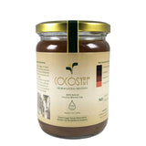 CocoSyrup Sugar Alternative Coconut Blossom Syrup 500ml