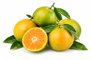 Lebanese Clementine 500g — كليمنتين | Air-Flown