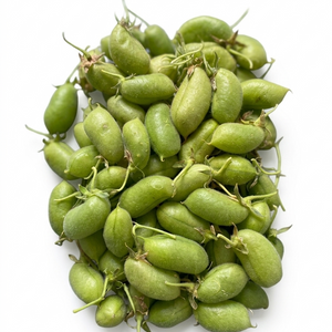Lebanese Fresh Green Chickpeas (Umm Qleibani) 250g  — أم قليباني | Air-Flown